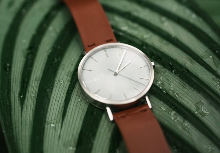 Hodina Watch