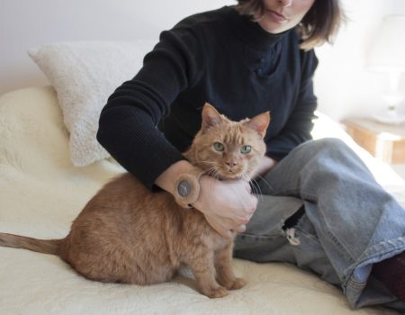 Une montre à base de poils de chats !